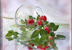 glass and roses