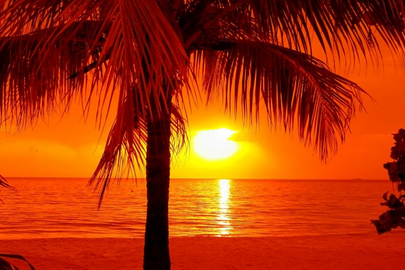 tropical_summer_sunset.jpg