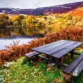 picnic bench in a beautiful lake landscape