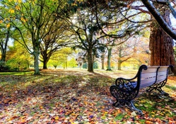 lovely bench in a park in autumn hdr
