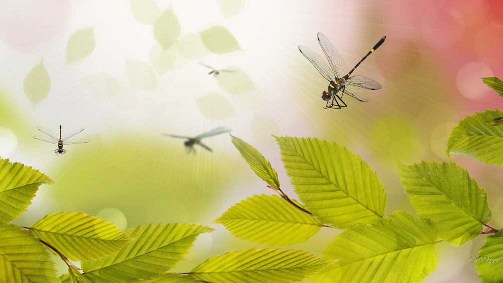 Dragonflies and Green Leaves Abstract