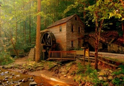 House Deep in the Forest, Norris Dam State Park, Tennessee
