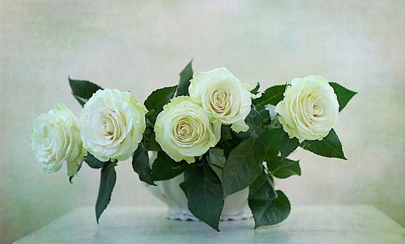 * White roses *