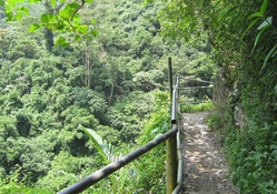Mountain trail