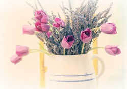 Tulips and lavander
