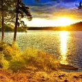 Golden sunset on lake