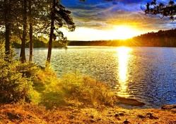 Golden sunset on lake
