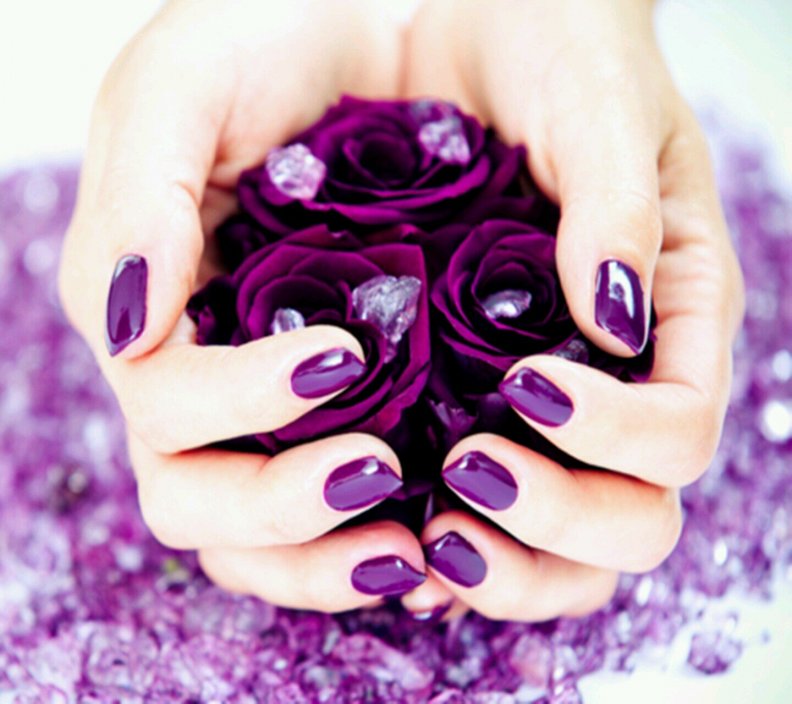 purple_roses_in_my_hands.jpg