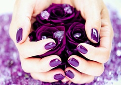 Purple Roses in my Hands