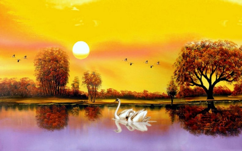 __Swan Lake is Happy__
