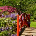 The red bridge in the gapanese garden
