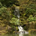 Japanese Garden Waterfall, Portland, Oregon