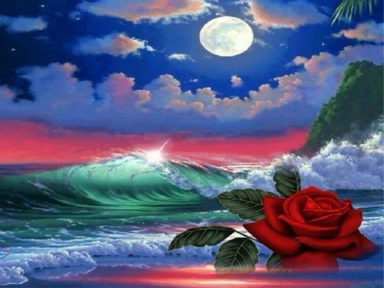 moon,beach.flower ,ea