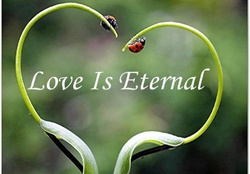 Love Is Eternal