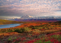 magnificent denali national park in alaska hdr