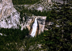 Yosemite Nat'l. Park, California