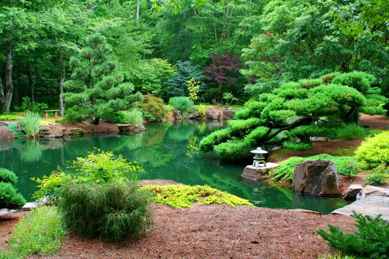 japanese_garden.jpg