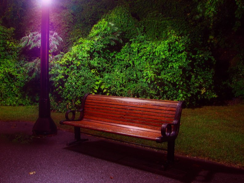 * Bench in the park *