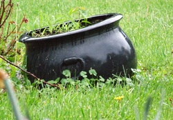 wet black kettle in grass with flowers