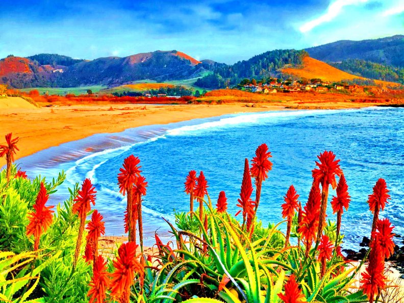 flowers_in_coastal_paradise.jpg