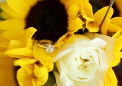 SunFlower Wedding♥
