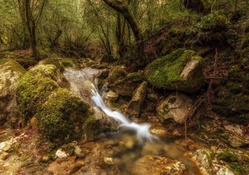 fantastic rocky forest stream hdr