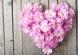 ♥Floral Heart♥