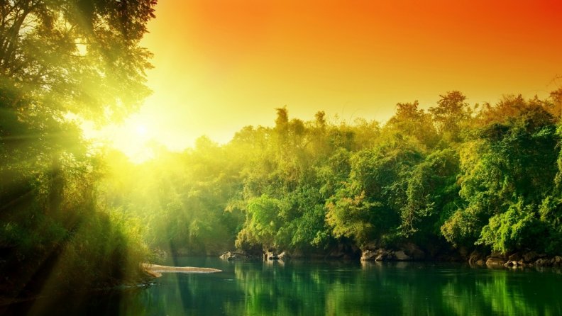 amazing bright sunshine over a forest river