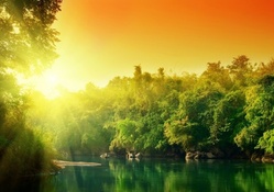 amazing bright sunshine over a forest river