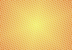 Honey Comb Desktop