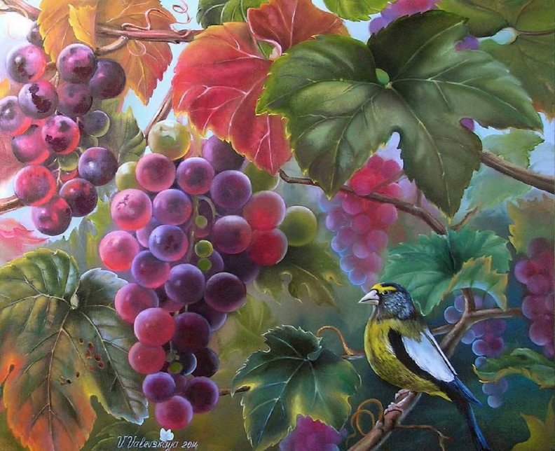 ripe_grapes.jpg