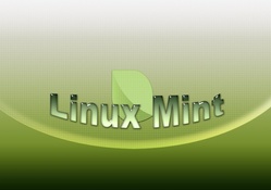 linux mint