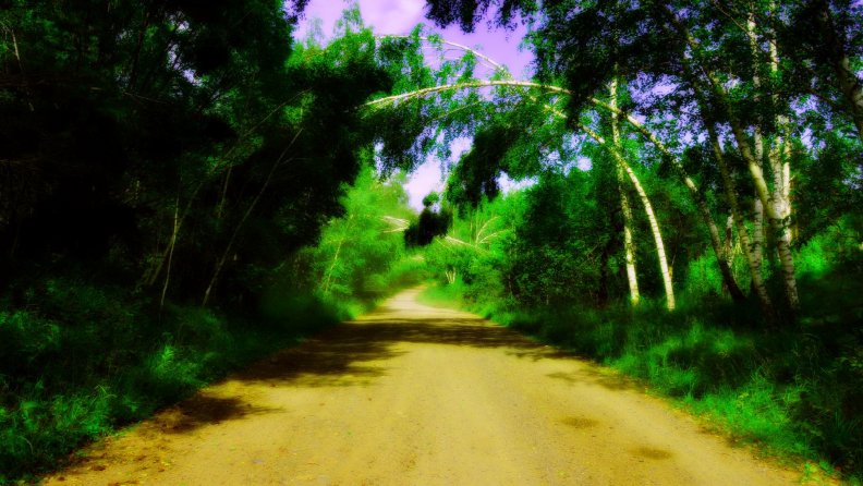 forest road