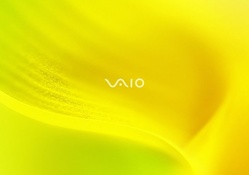 Vaio (Yellow)