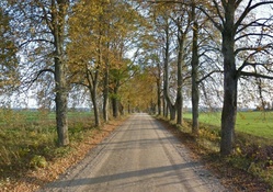 Road in Estonia