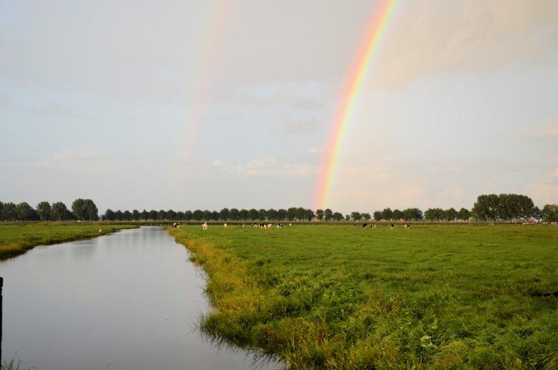 rainbow_over_a_cow_pasture.jpg