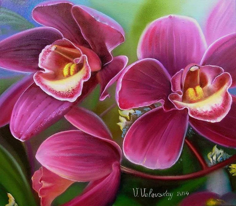 orchid_macro.jpg