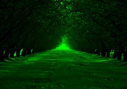 green alley