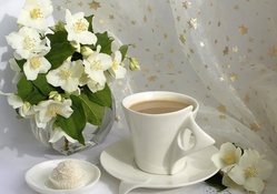 * Spring coffee *