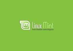 Linux Mint Minimal