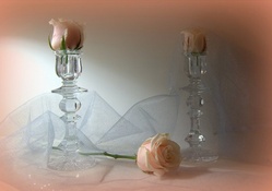 Candle Roses