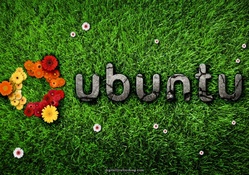 Ubuntu _ grass and flower