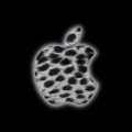 Silver spotted apple logo