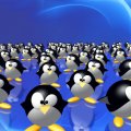 pinguin 3d world