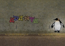penguin grafiti
