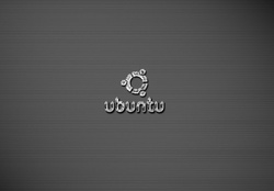 WP_ubuntu