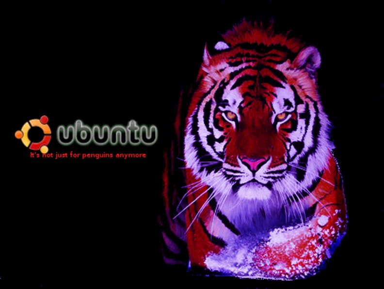 Ubuntu Tiger