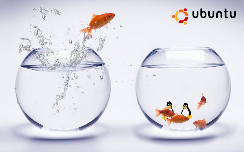 linux_ubuntu_goldfish_bowls.jpg