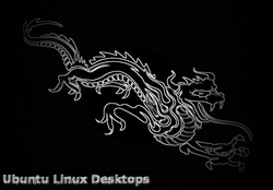 Black Chrome Dragon Ubuntu Desktop