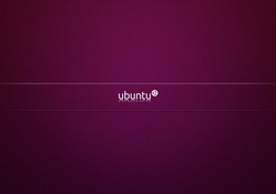 Ubuntu Mesh
